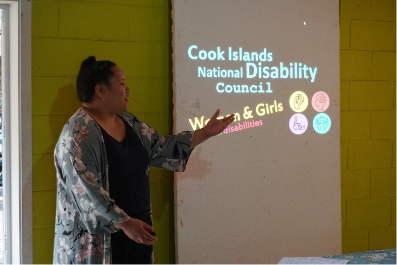 CI Disability Council