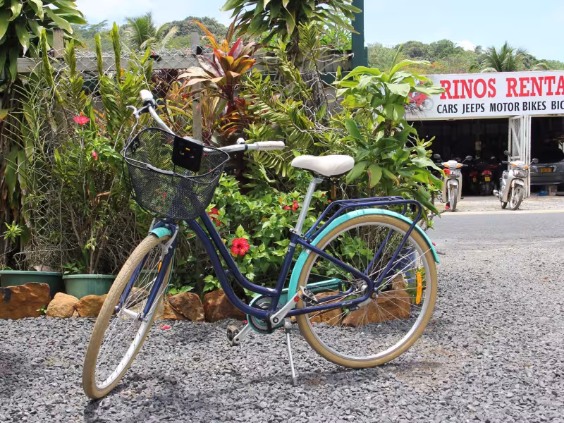 Rinos Rentals Bike