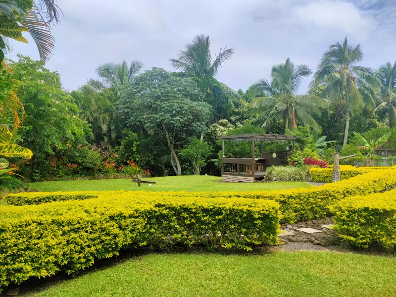 Bar garden.jpg
