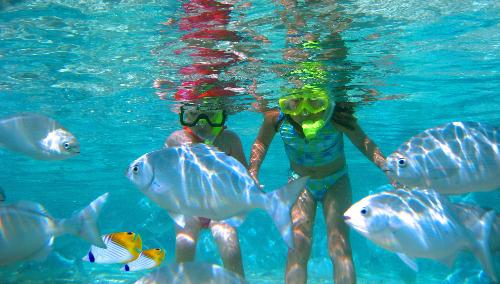 The Rarotongan Beach Resort & Lagoonarium