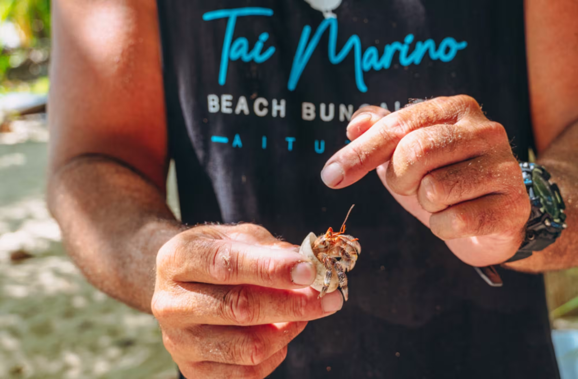 Marino Tours