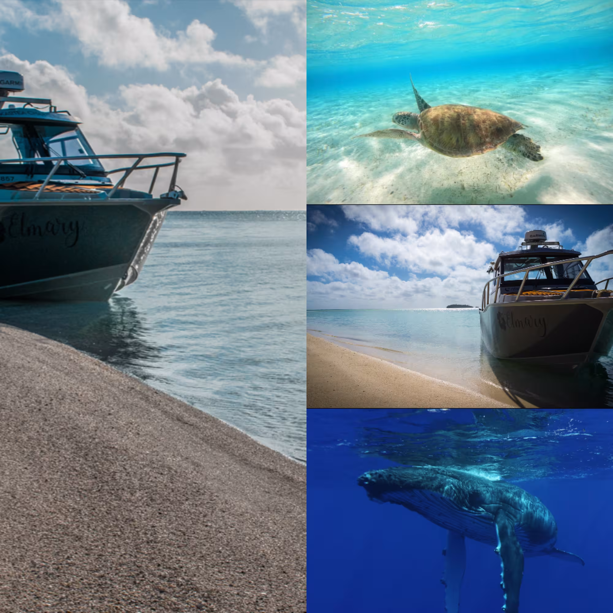 The Aitutaki Collective