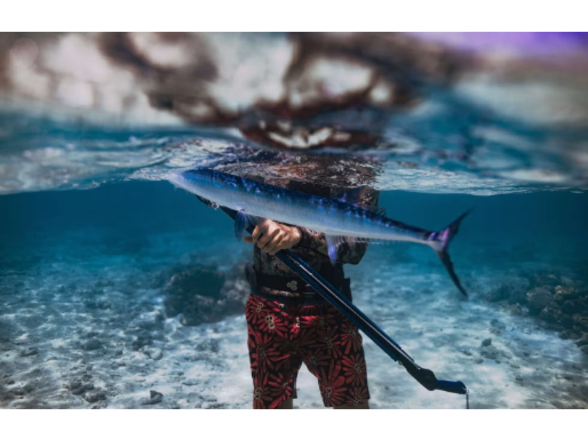 Spearfishing with Go Local